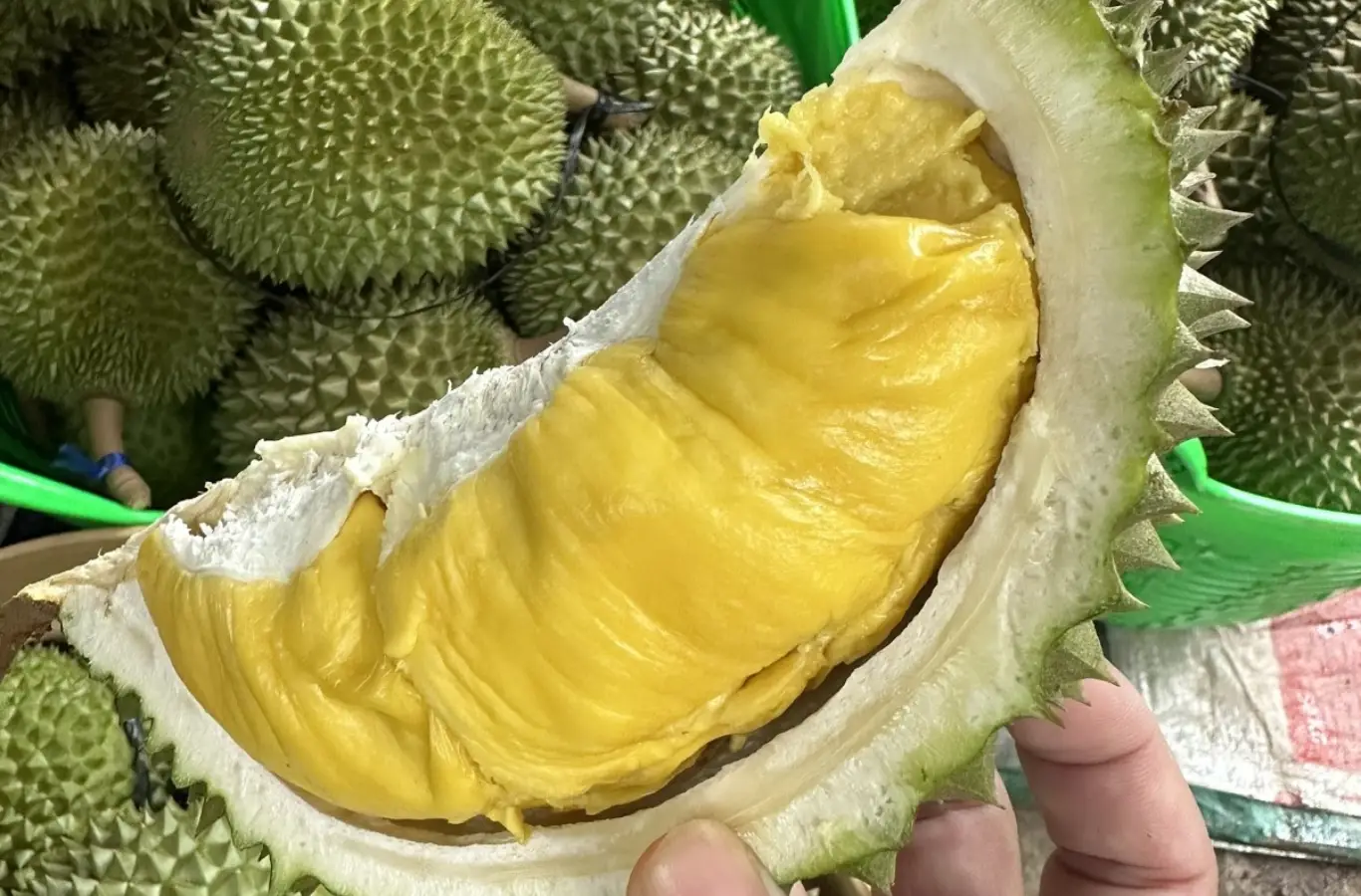 Sầu riêng loại nào ngon nhất