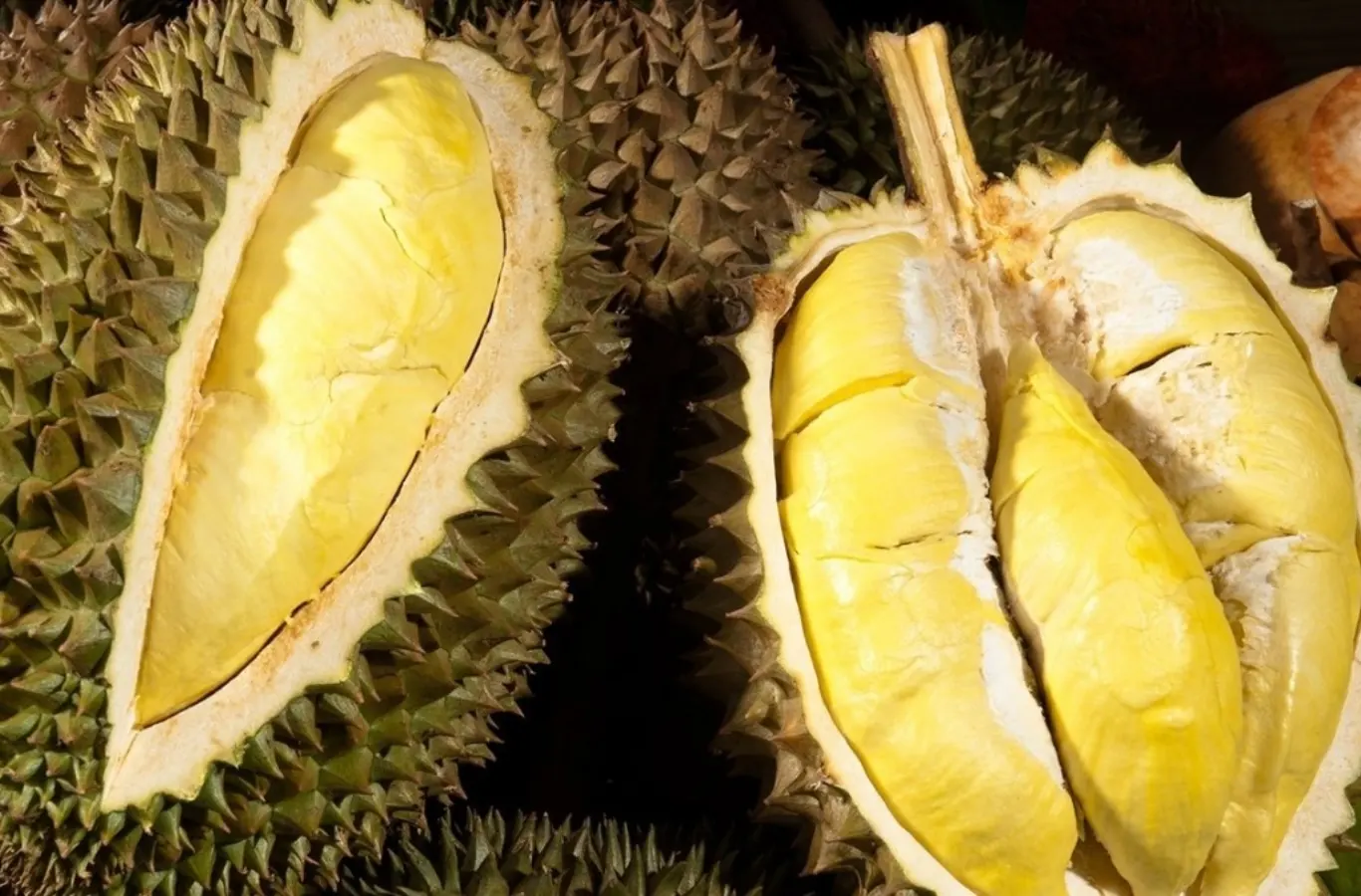 Sầu riêng loại nào ngon nhất