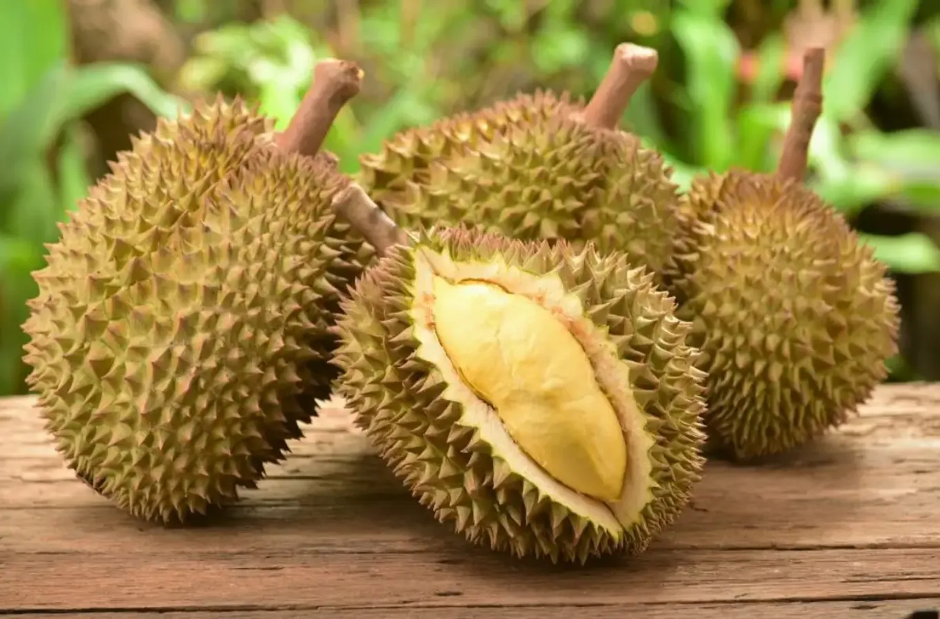 Sầu riêng loại nào ngon nhất